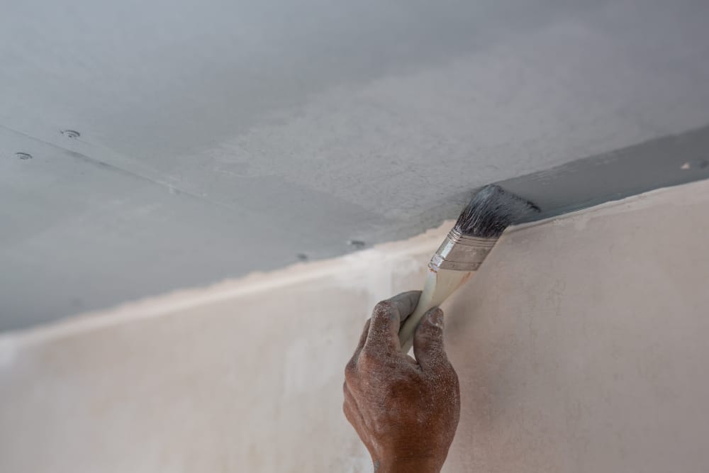 Roof Plastering